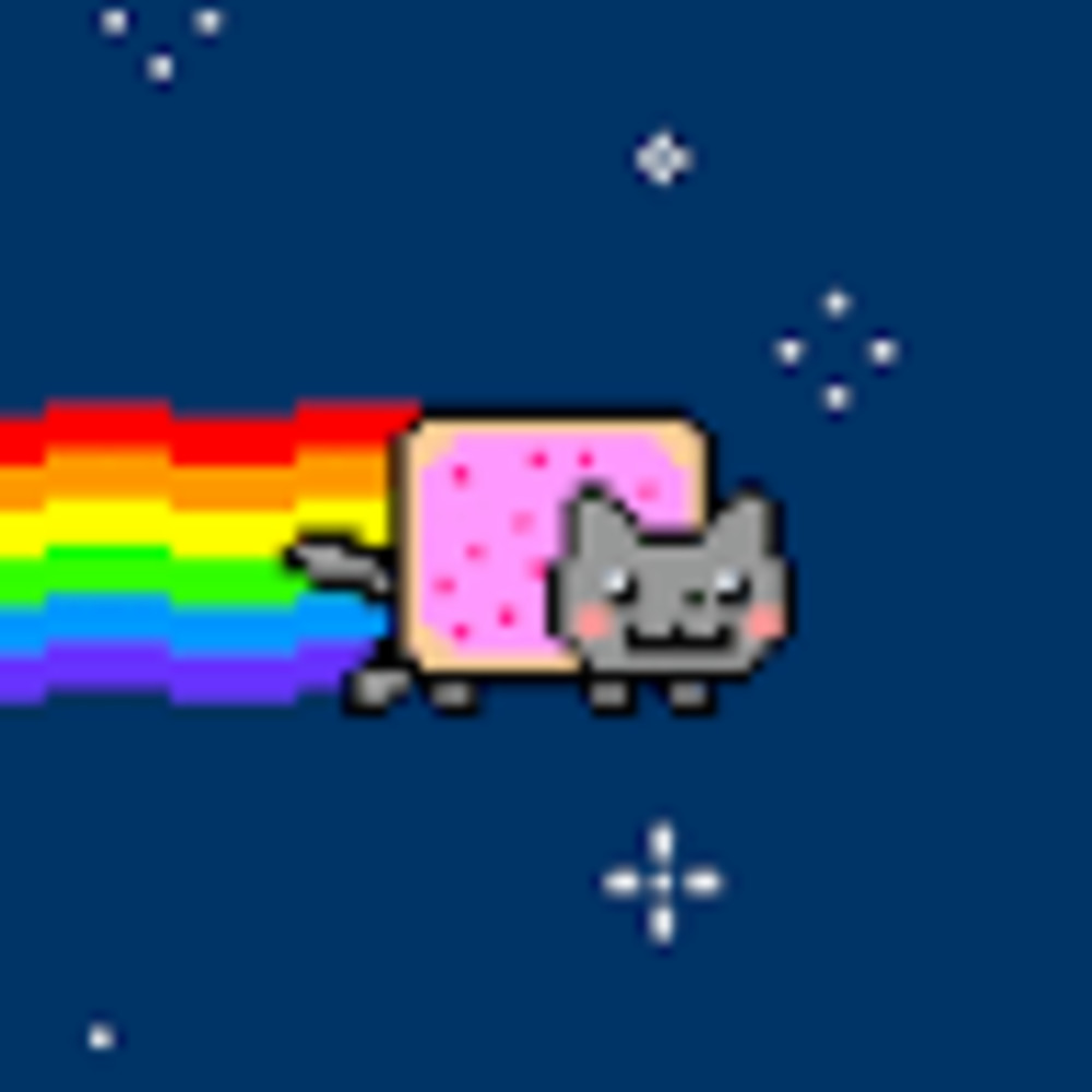 Meet your Posher, Nyan